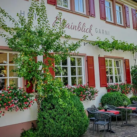 Hotel Mainblick Garni-2