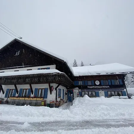 Nagelfluhhaus Hirsch-2