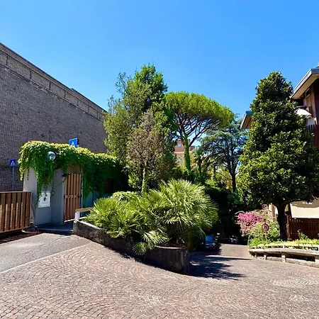 Vatican Walls Studio-3