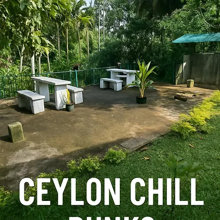 Ceylon Chill Bunks-3