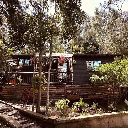 Casa Tikkun-3