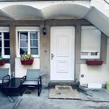 Petit Coin Tranquille A 2 Pas De Strasbourg-3