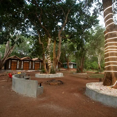 Funk Bunks - Sigiriya-3