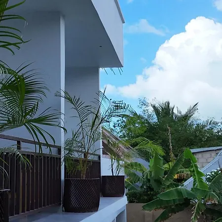 The Dream Village-3