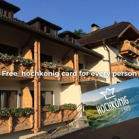 Marmotta Alpin Hotel-2