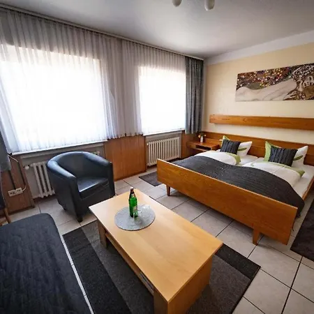 Hotel Zur Aue-2