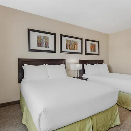 Best Western Wainwright Inn&Suites-2
