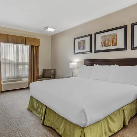 Best Western Wainwright Inn&Suites-3