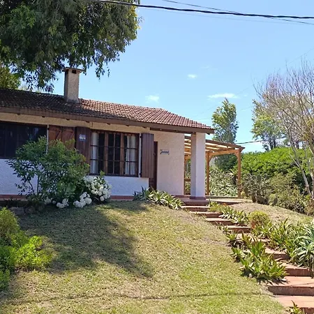 Jacaranda-3