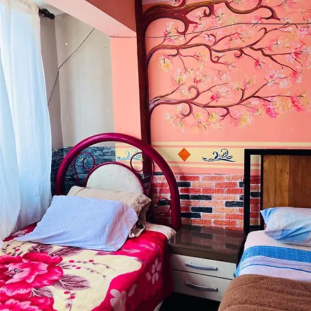 Backpacker Hostal Oruro-2
