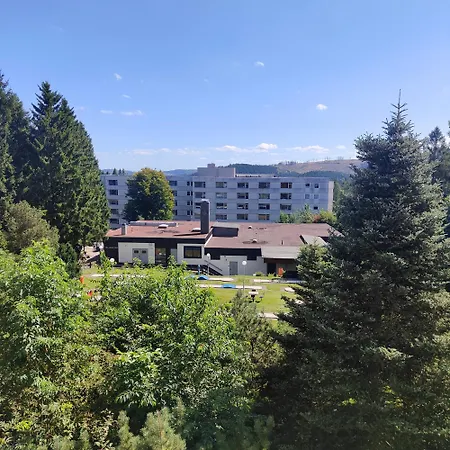 Ferienwohnung Natur Suite Hahnenklee - Harz, Balkon&Parkplatz-3