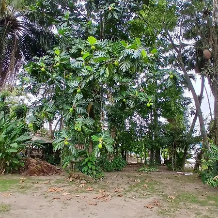 Studio7 Terra Prox Centro Paraty-3
