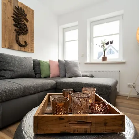 Sylter Seestern Seepferdchen Loft-2