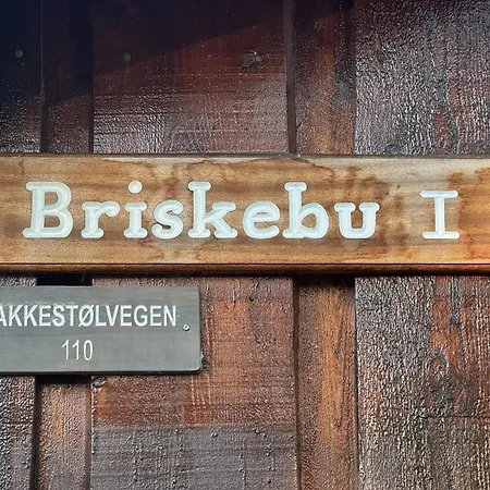 Briskebu, Cosy Cabin By Ski Slopes-2