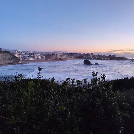 La Colline Bleue Biarritz-2