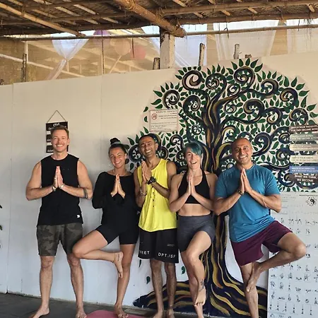 Drishti Yoga International-3