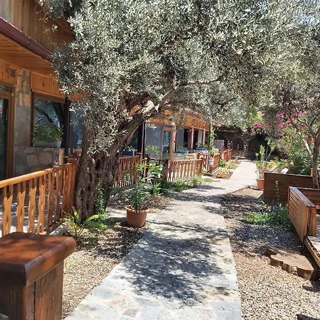 Kabak Armes Otel-3