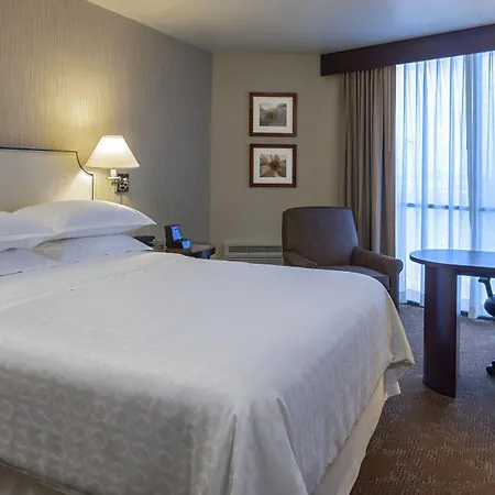 Sheraton Houston Brookhollow Hotel-2