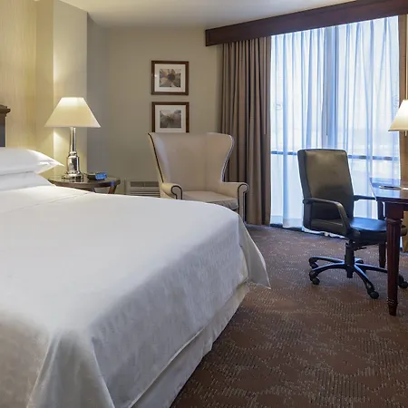 Sheraton Houston Brookhollow Hotel-3