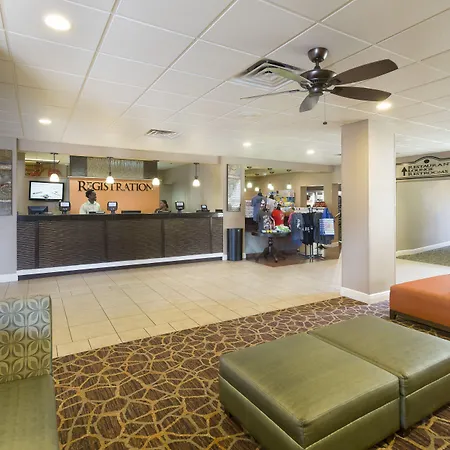 Rosen Inn Closest To Universal-3