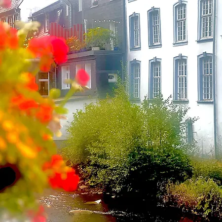 Ferienhaus EifelOne-3