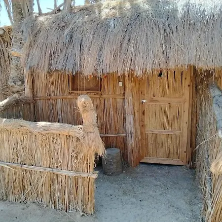 Paloma Camp-3