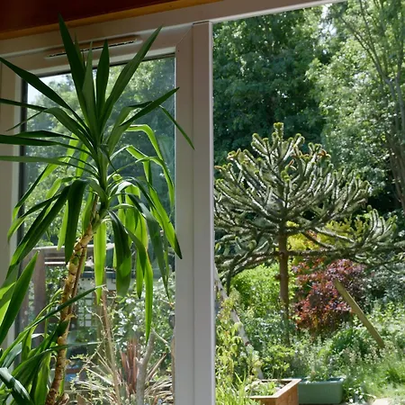 Spacious Cabin London Canary Wharf Free Parking B&B-3