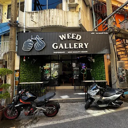 W33D Gallery Pattaya-2