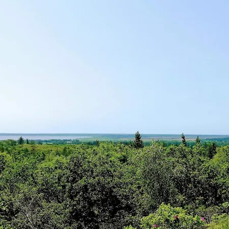 5 Star Holiday Home In Henne Beach-3