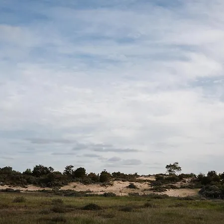 Spacious Luxury Apartment De Panne Near Beach-2