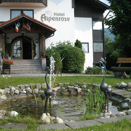 Akzent Hotel Alpenrose-2