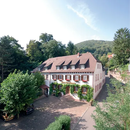 Die Hirschgasse Heidelberg-2