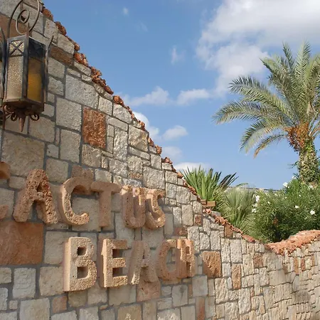 Cactus Beach Hotel-2