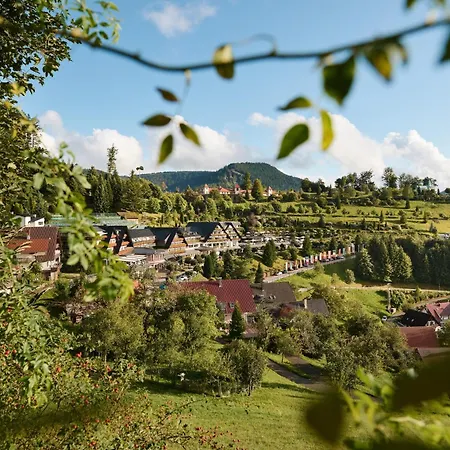 Hotel Dollenberg-2