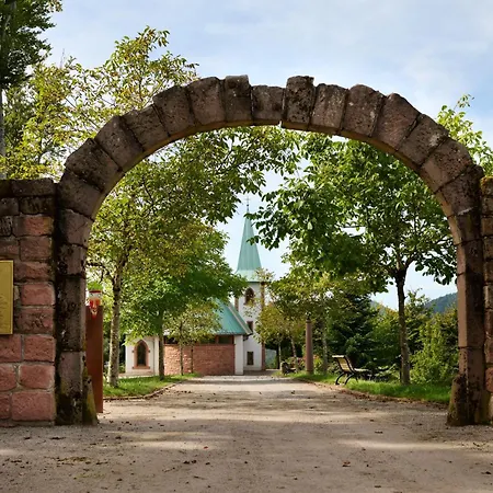 Hotel Dollenberg-3
