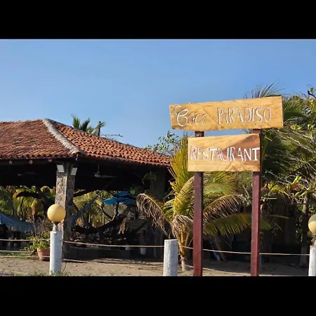 Coco Paradiso-3
