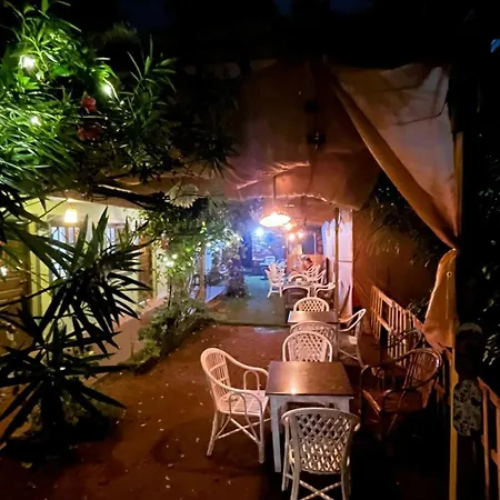 Mogambo Hostel&Stays-3