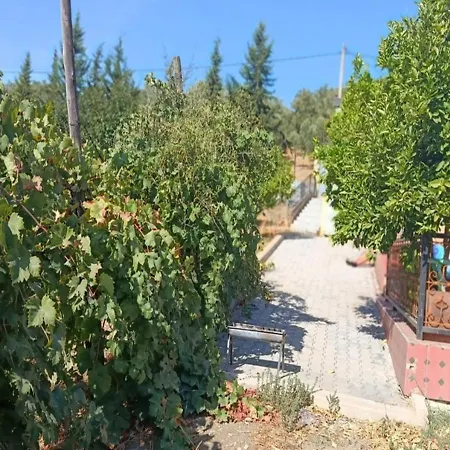 Ferme Panorama-2