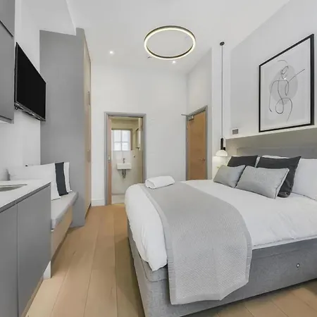 Lovely Studio With Terrace In The Heart Of London-2