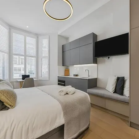 Lovely Studio With Terrace In The Heart Of London-3