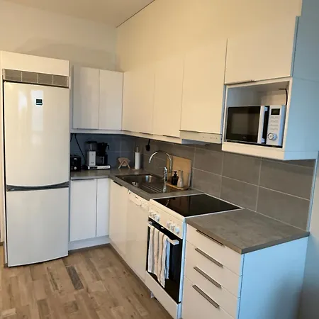 City Center Apartment With Own Sauna-3