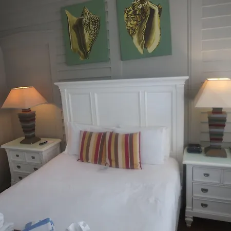 The Artist House-2