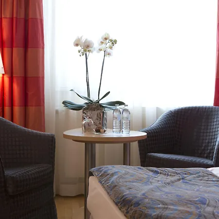 Appartement-Hotel An Der Riemergasse-3