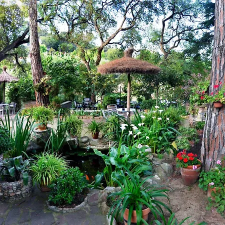 Hostal Magnolia-3