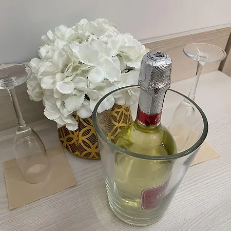 Hotel Giotto Flavia-3