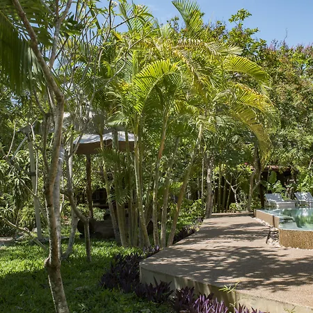 Palm Village Resort & Spa-3