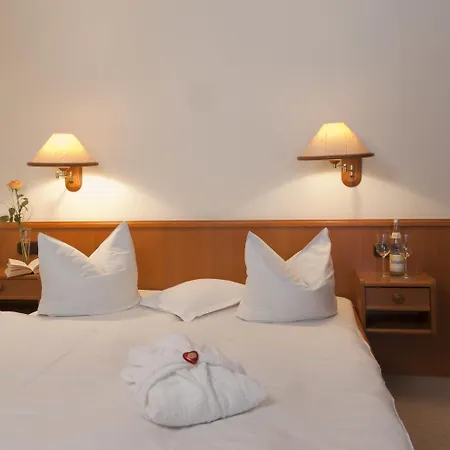 Hotel Parkfrieden-2