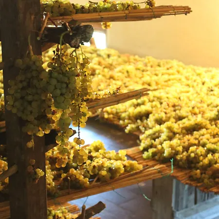 La Cantina Relais - Fattoria Il Cipresso-2