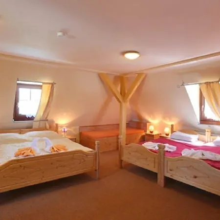 Hotel Zeleny Dum-3