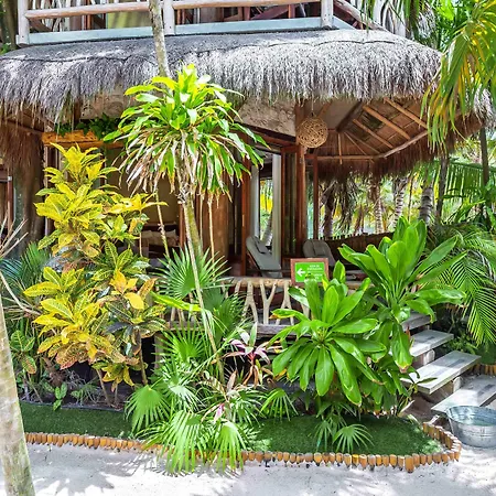 Alaya Beachfront Tulum Hotel-3